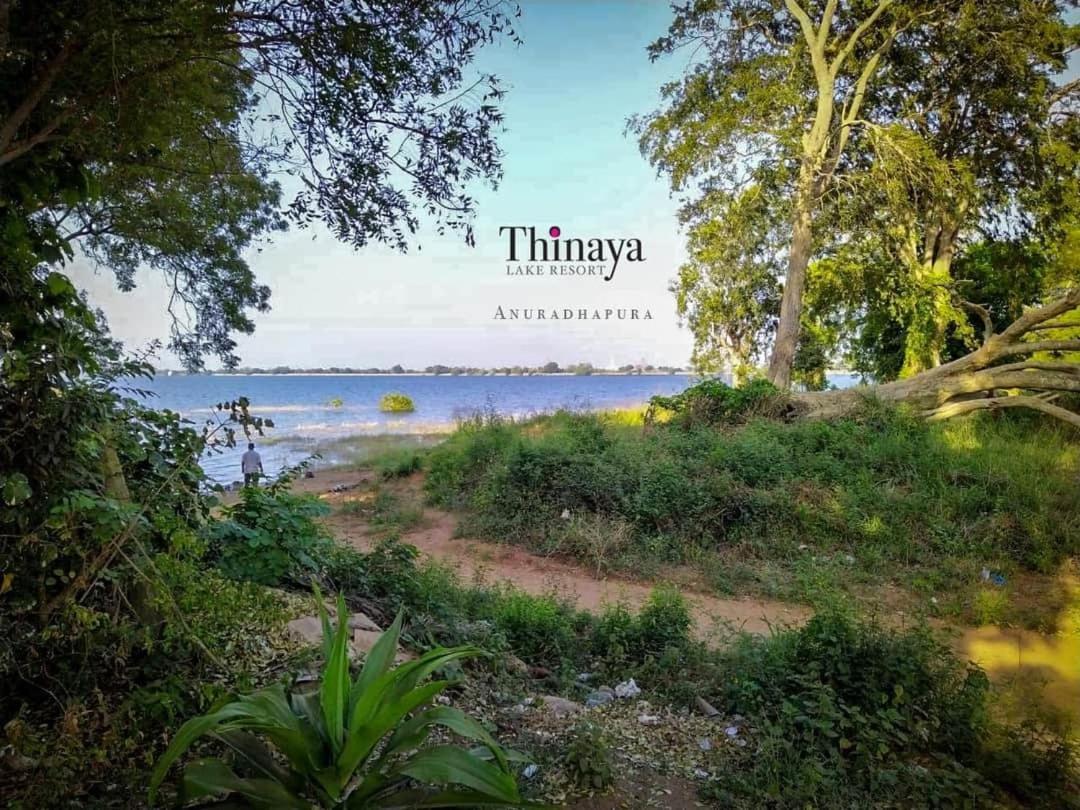 Thinaya Lake Resort Anuradhapura Zewnętrze zdjęcie